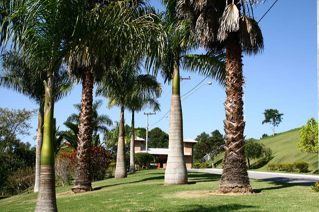 Venda, 0 dormitório em Village Parahybuna - 13