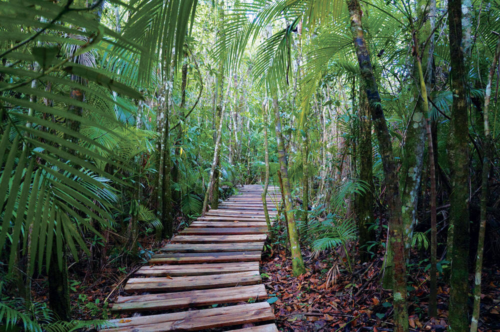 Venda, 0 dormitório em Santa Bárbara Resort Residence - 14