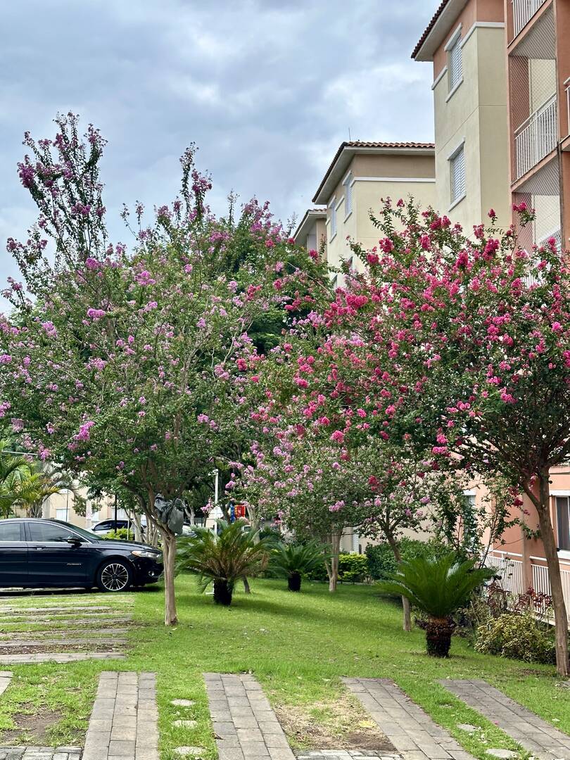 Venda, 2 dormitórios em Rossi Jardinatti - 4