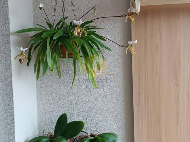 Apartamento para Venda em São José dos Campos - 5