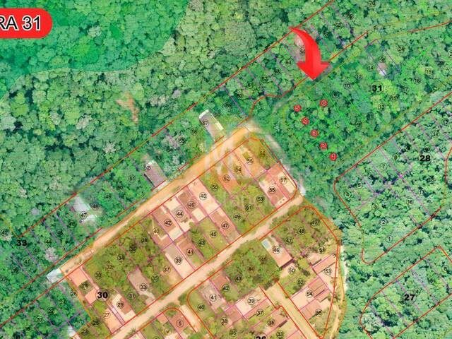 #TE1264 - Terreno para Venda em Caraguatatuba - SP - 2