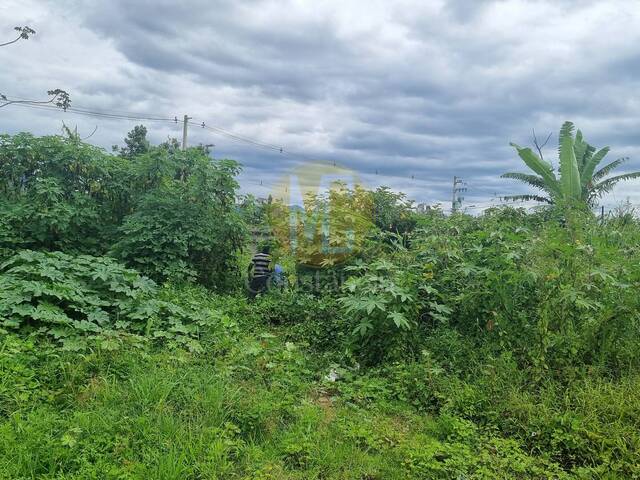 #TE1285 - Área para Venda em Caraguatatuba - SP - 2