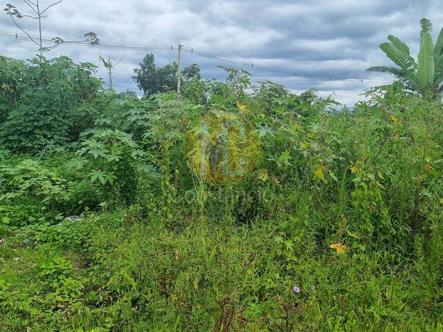 #TE1285 - Área para Venda em Caraguatatuba - SP - 3