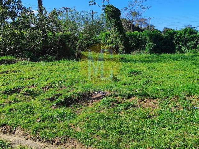 Área para Venda em Caraguatatuba - 5