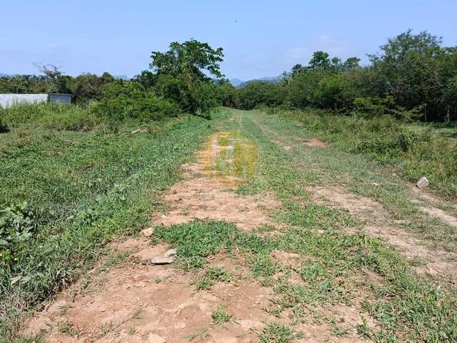 Área para Venda em Caraguatatuba - 4