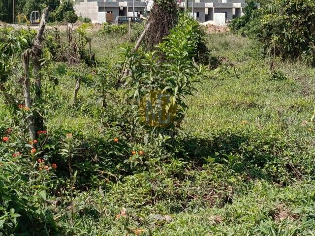 #TE1439 - Área para Venda em Caraguatatuba - SP - 2