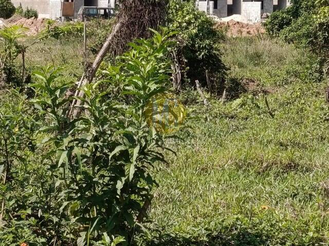 #TE1439 - Área para Venda em Caraguatatuba - SP - 1