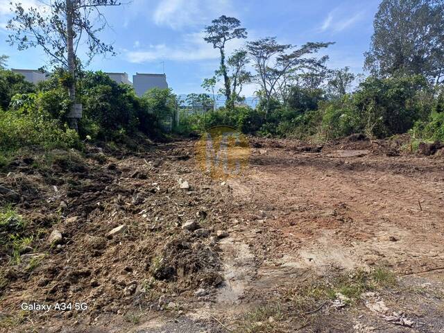 Área para Venda em Caraguatatuba - 4
