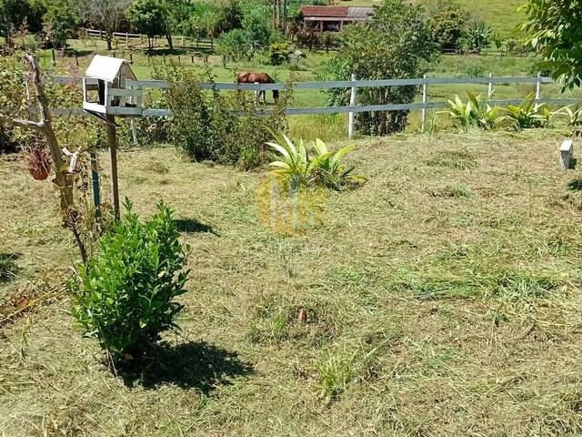 Sítio para Venda em São Luíz do Paraitinga - 5
