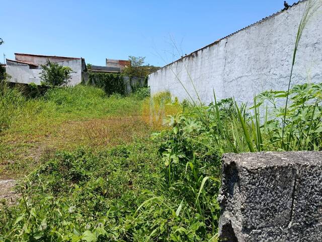 #TE1442 - Área para Venda em Caraguatatuba - SP - 3