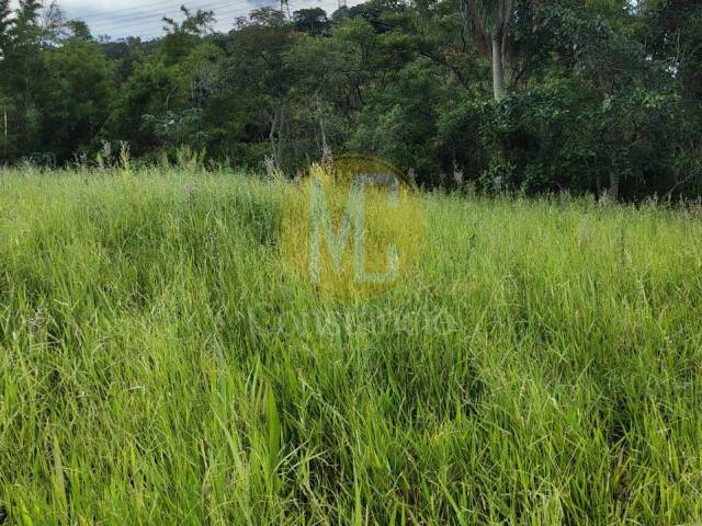 #TE1521 - Área para Venda em Guararema - SP