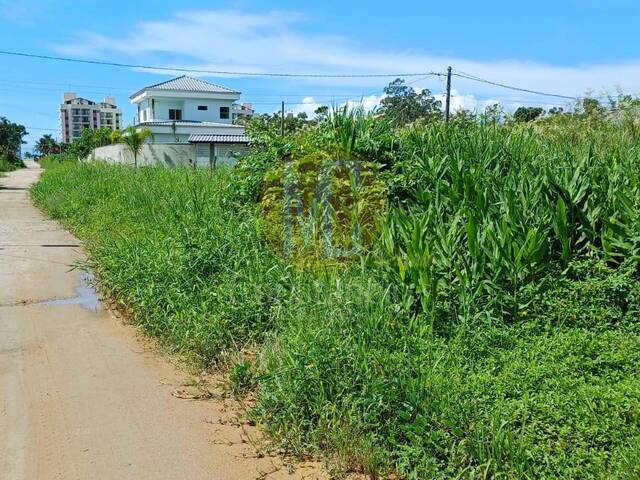 #TE1551 - Área para Venda em Caraguatatuba - SP