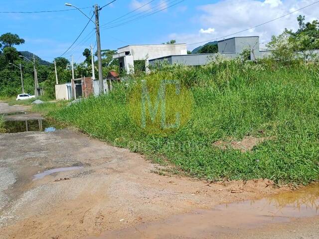 #TE1551 - Área para Venda em Caraguatatuba - SP