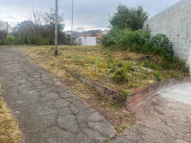 #TE1560 - Terreno para Venda em São José dos Campos - SP - 3