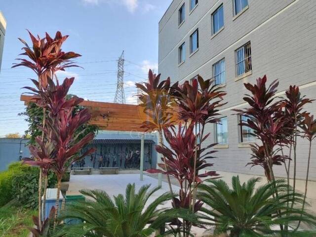 #AP1369 - Apartamento para Locação em São José dos Campos - SP - 1
